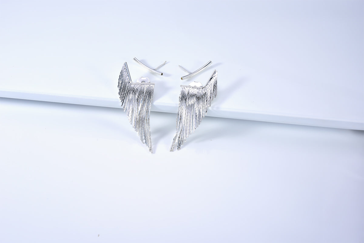 Tassel Fringe Earrings Silver Short House 12 Accessories